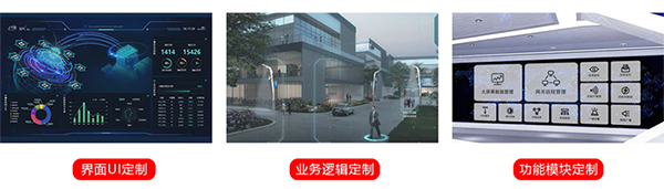 慧路燈桿平臺(tái)研發(fā)定制.jpg
